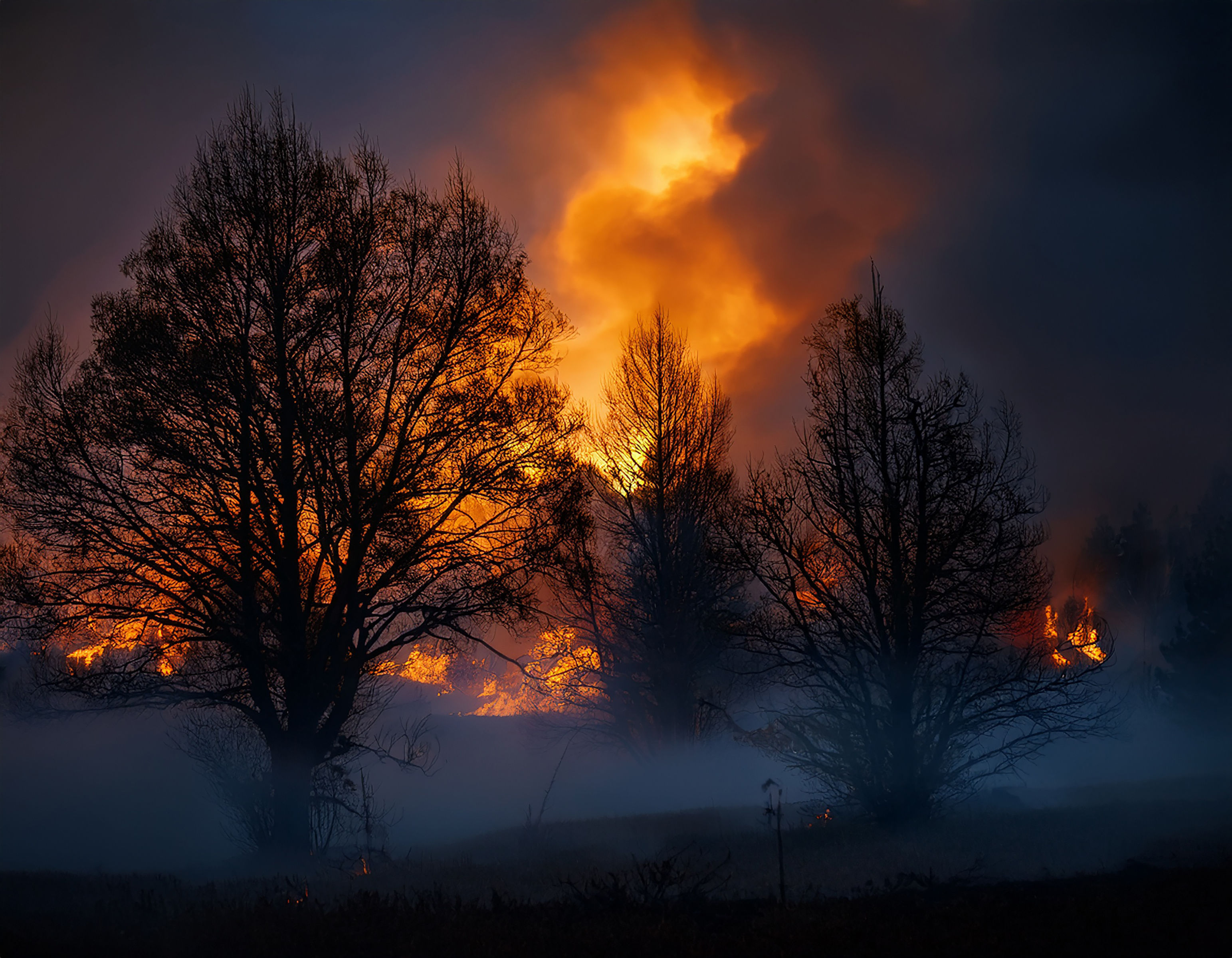 Earth Cries In Fires