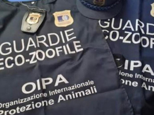 collaborazione tra OIPA e G.A.I.