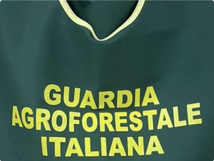 Dirigenza Provinciale dellaG.A.I ad Avellino