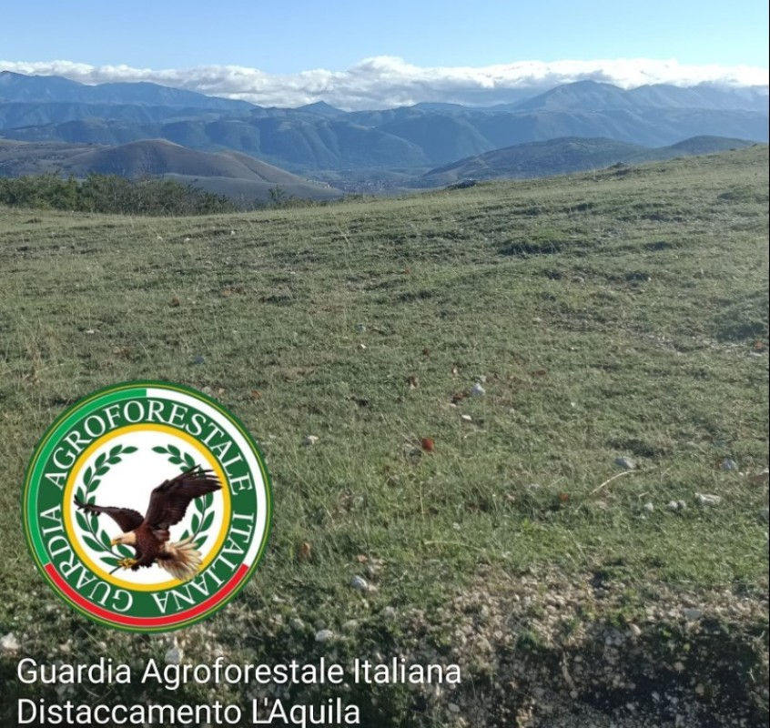 Paesaggio montano a Dragoni con logo Guardia Agroforestale