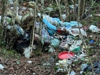Rifiuti abbandonati e discarica abusiva nel bosco a Dragoni