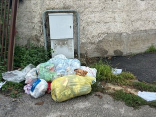 Rifiuti abbandonati 