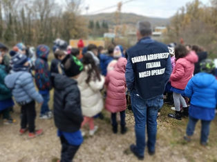Festa dell’albero