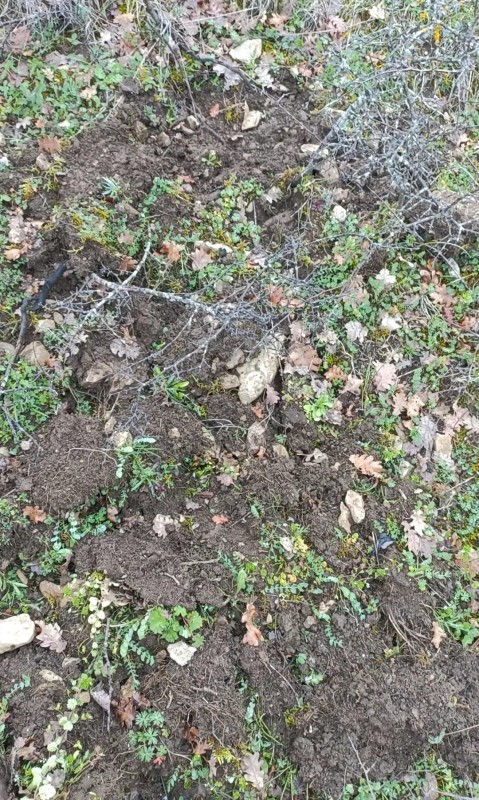 Terreno con rifiuti in una discarica abusiva a Sarno