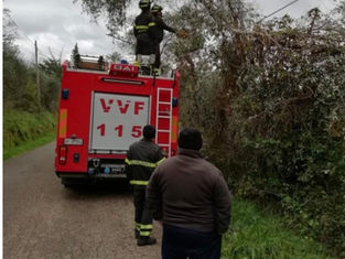 Danneggiata o cavo illuminazione 