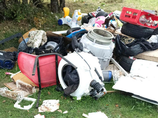 Discarica e malora mento di animali