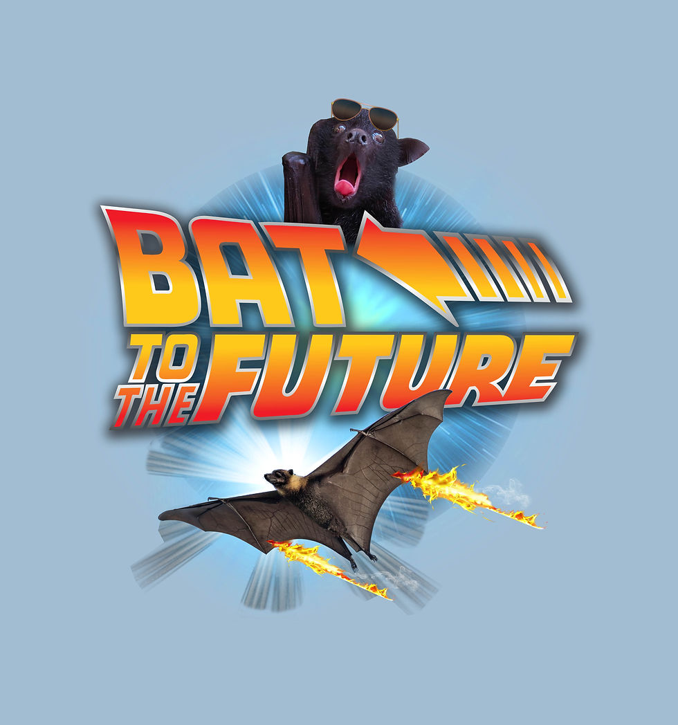 Thumbnail: Bat To The Future