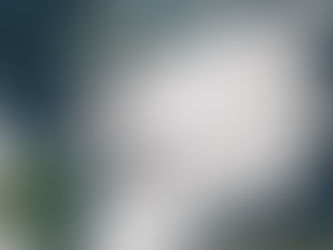 The Impact of Hurricane Melissa