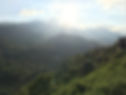 Background_view