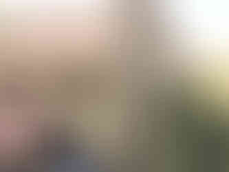 House 19 years after staining bricks