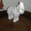 Miniatura: Elefante Branco- 20cm