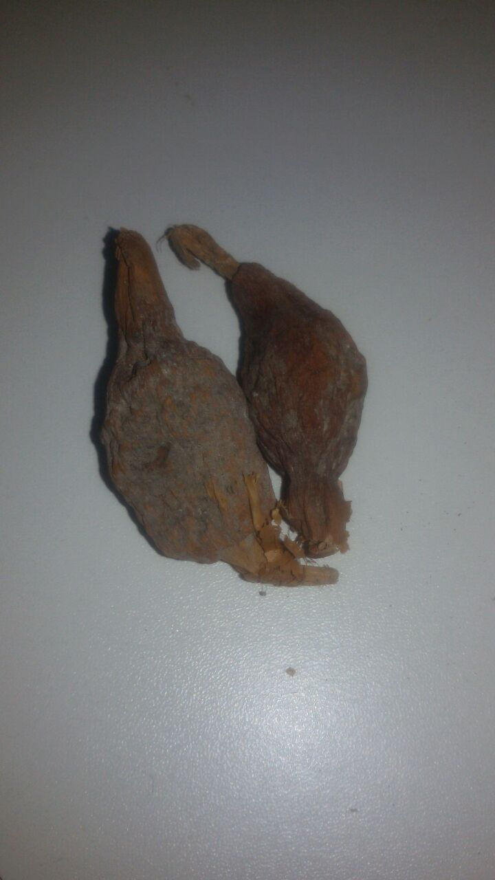 Miniatura: Ataré Fava - unidade