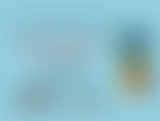 XIV Jornades Internacionals de Recerca en Didà ctica de les Ciències Socials