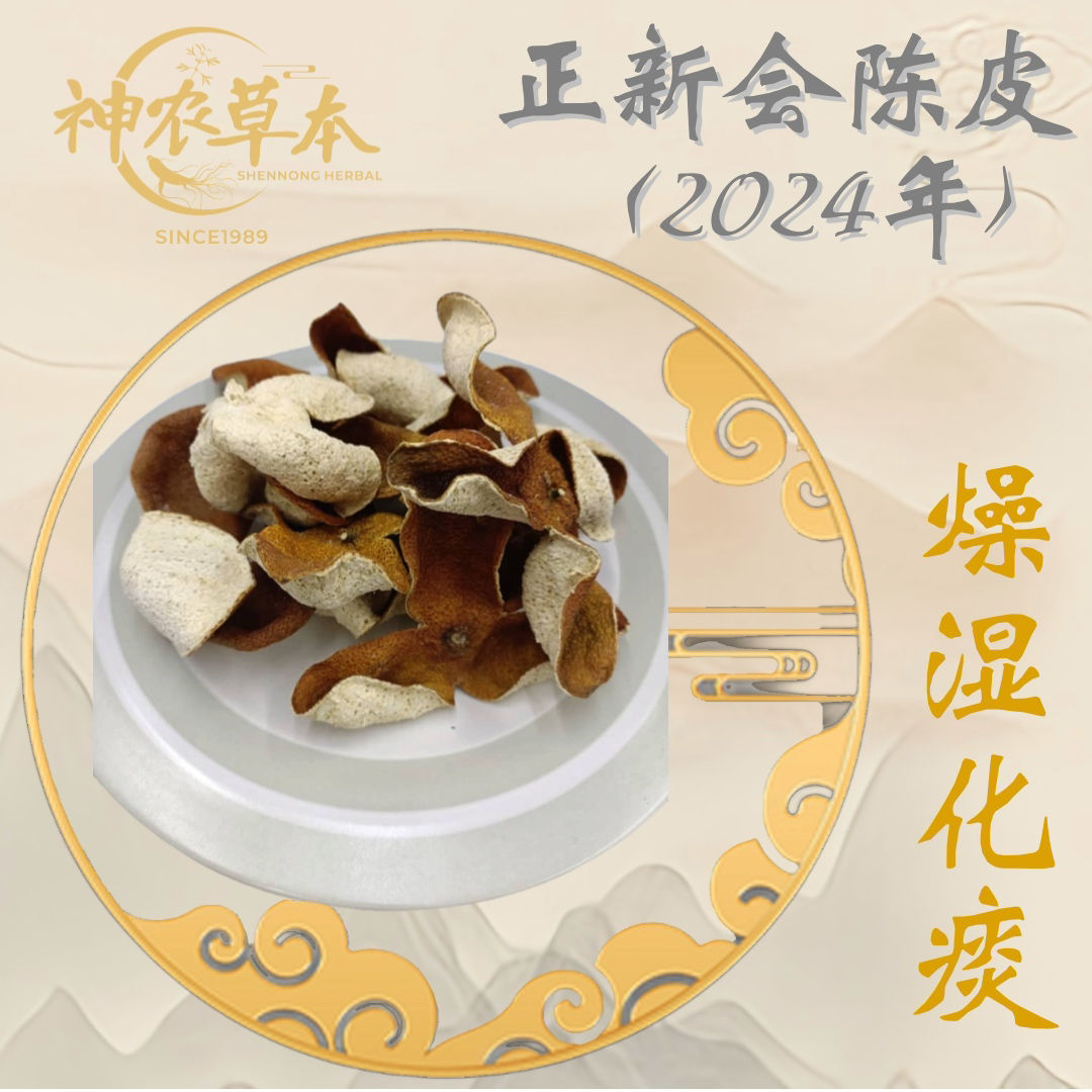 正新会陈皮 2024年｜滋补药材｜XINHUI TANGERINE PEEL