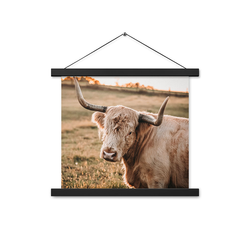 Thumbnail: Poster with hangers-Fiona