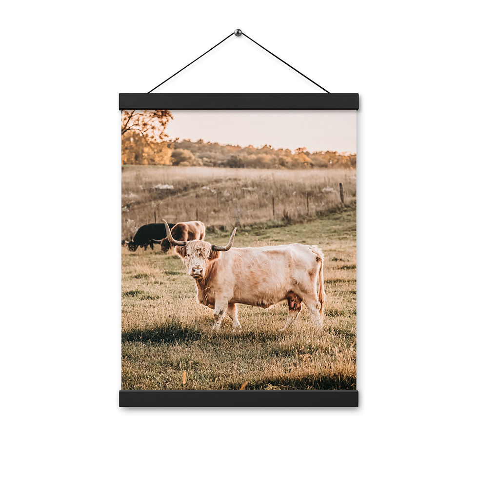 Thumbnail: Poster with hangers-Fiona