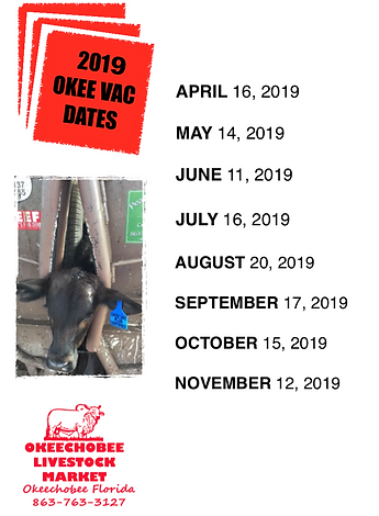 Screen Shot 2019-03-12 at 3.27.04 PM.png