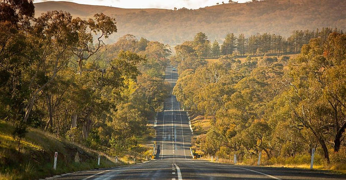 road.jpeg
