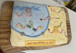Zaccara lab, mRNA life cycle, winner