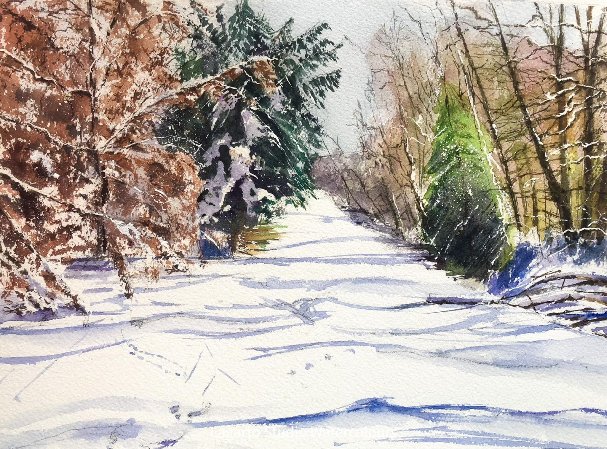 Early Snow CARD