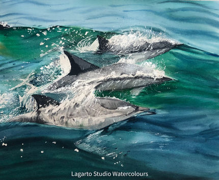 3 Dolphins in the Sea