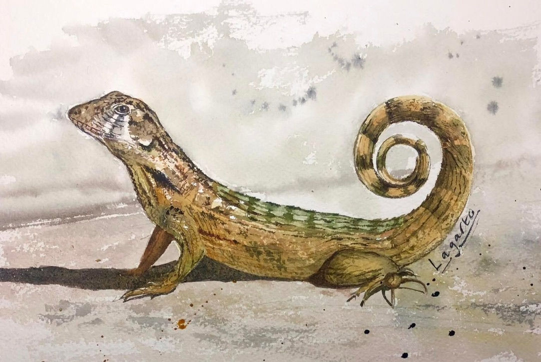 El Lagarto