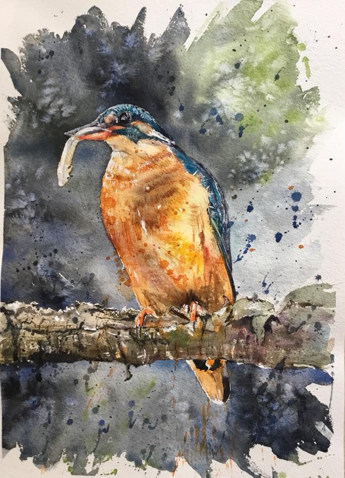 Kingfisher DIGITAL PRINT