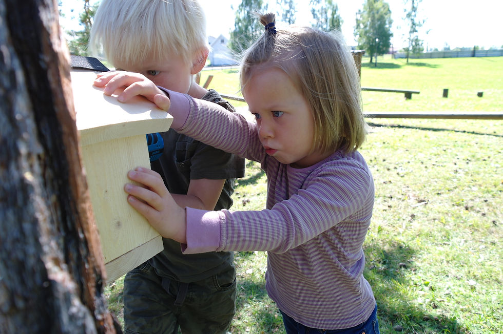 Miniatyrbilde: "Bier og Barn" - Biehotell som byggesett