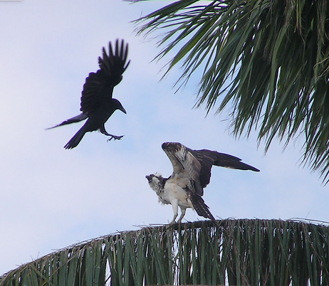 Screenshot 2023-07-10 at 6.51.01 PM.png