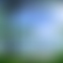 Um dia de praia, um dia de sol. Sequências de instantes, criando as melhores memórias