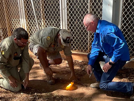 Firearms safety training