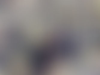 Feral animal monitoring & control work program 2019 +