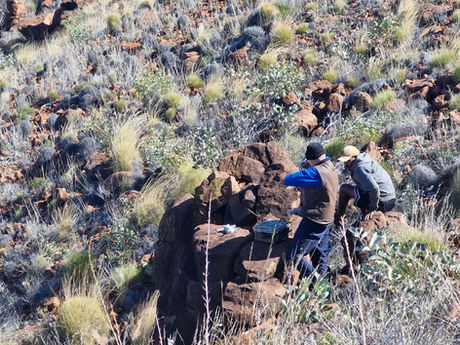 Feral animal monitoring & control work program 2019 +