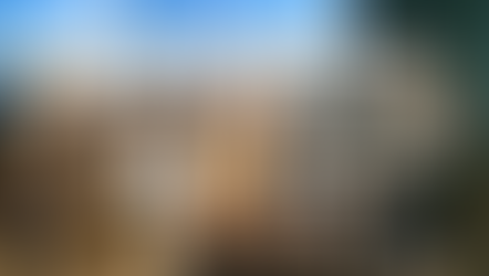 【お知らせ】「アクセラレータープログラム」募集開始しました！