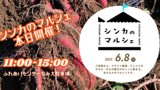 【本日開催】シンカのマルシェ📢(6月8日(日))