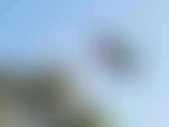 Coaching the Future: How Inclusive Leadership is Reshaping UAE Organizations with Lynn Kleinsmith