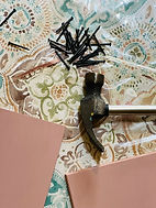 WhatsApp Image 2026-03-01 at 15.22.28 (1).jpeg