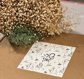 WhatsApp Image 2026-01-18 at 12.21.10 (1).jpeg