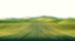 rolling-green-hills-farmland-landscape low.jpg