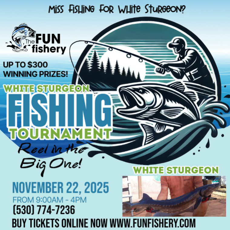 2025 THANKSGIVING WHITE STURGEON FISHING DERBY