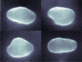 Trembling of fluid vesicles