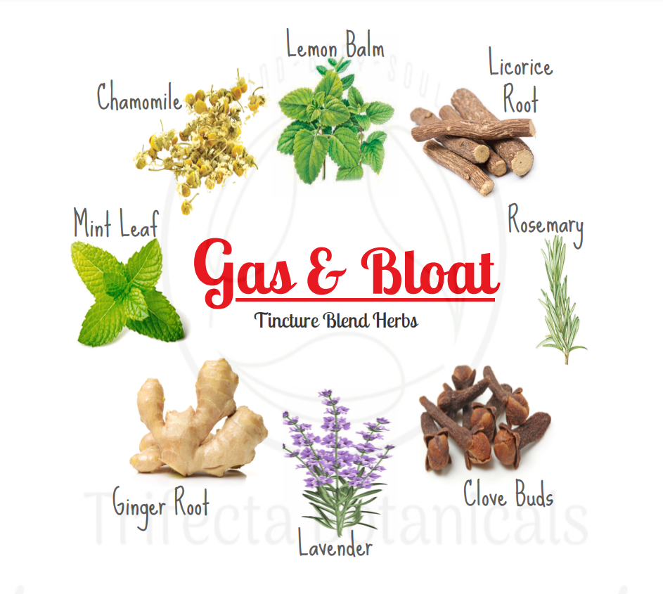 Thumbnail: gas and bloat herb list