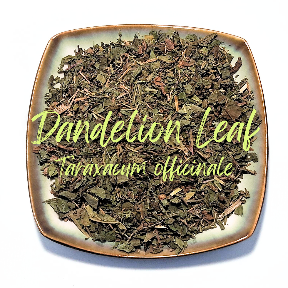 dandelion leaf herb