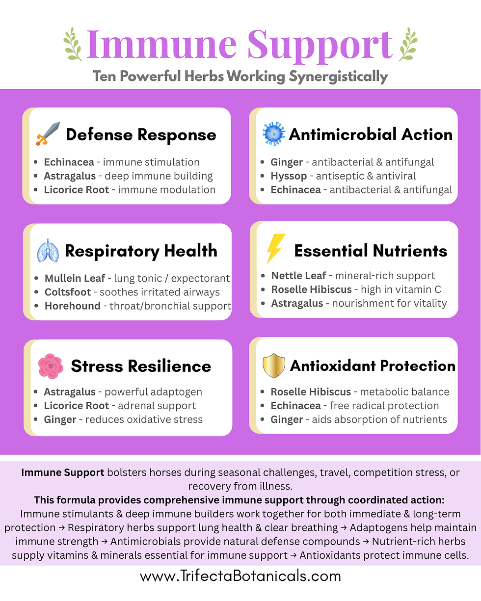 Thumbnail: benefits of immune support
