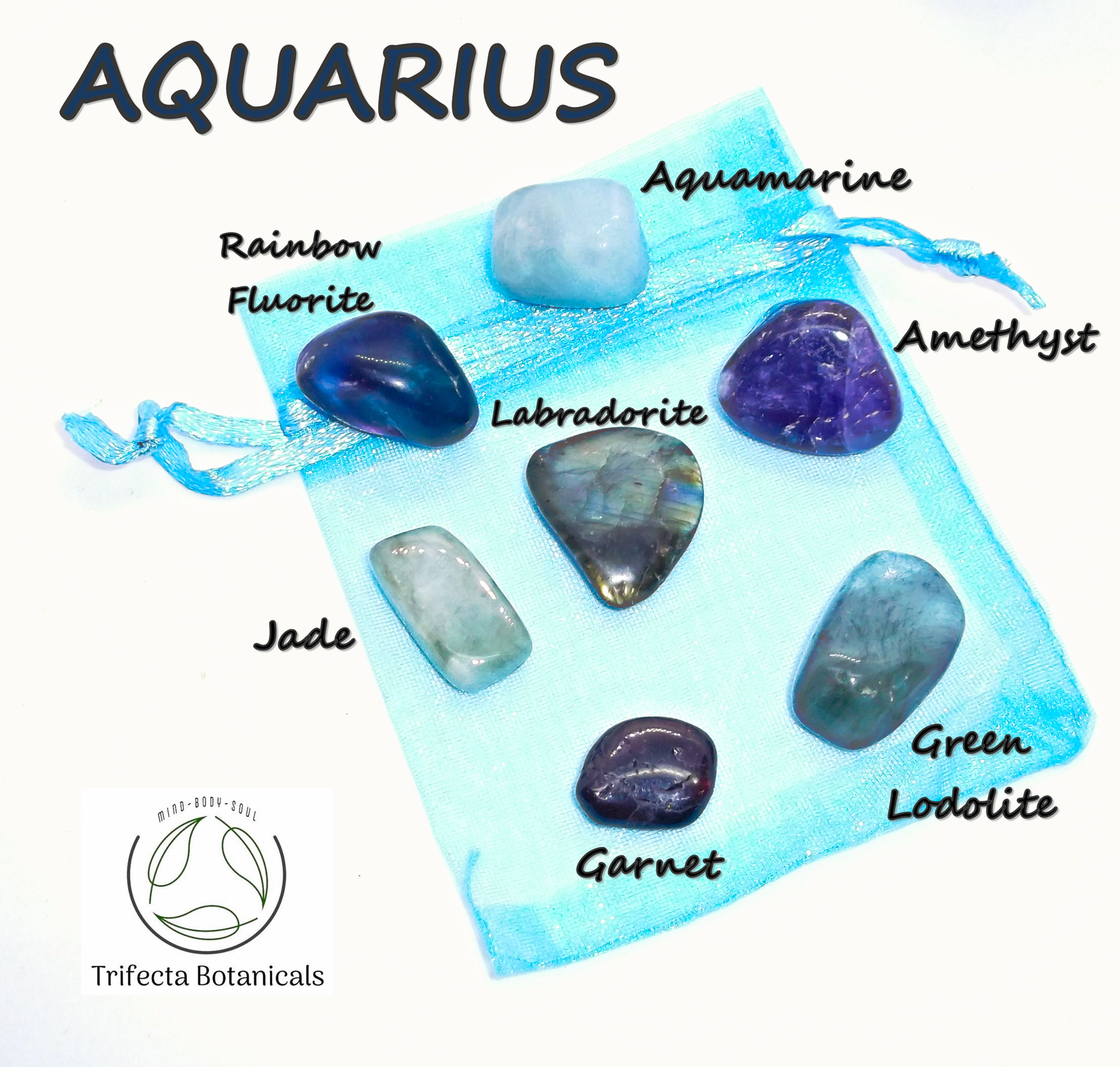 aquarius pocket stone set