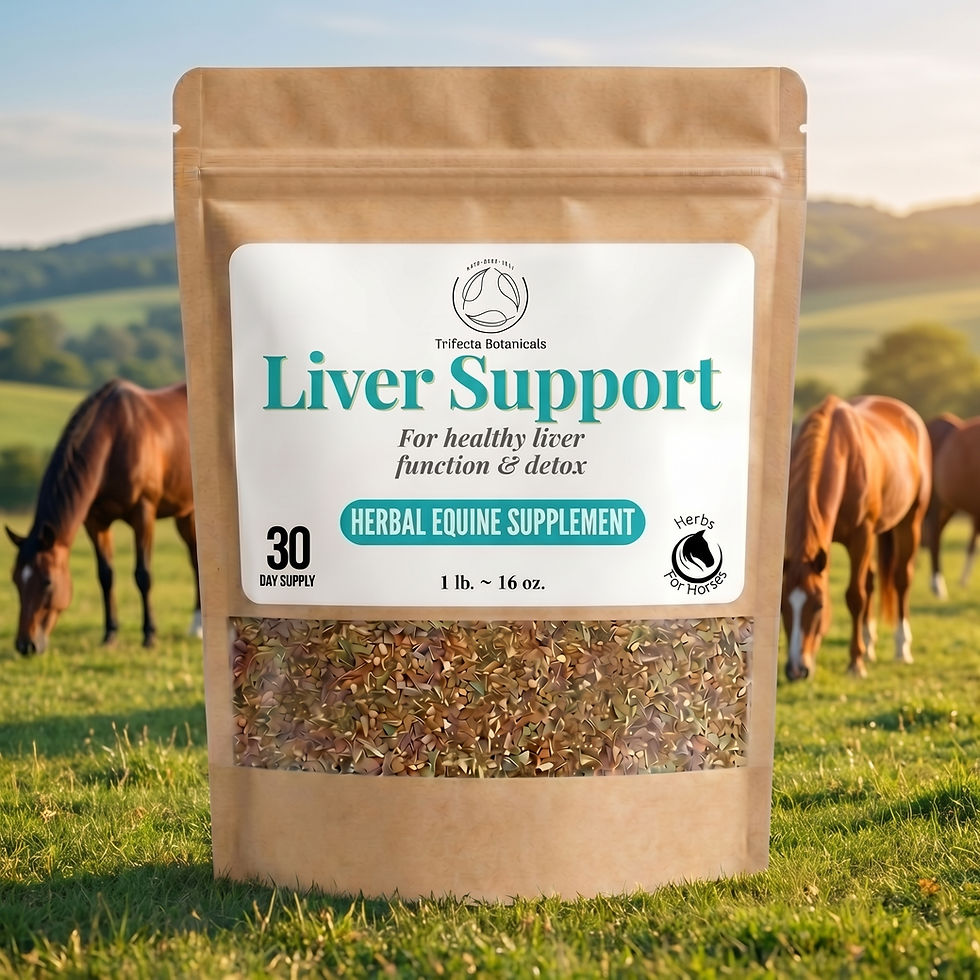 liver support horse supplement