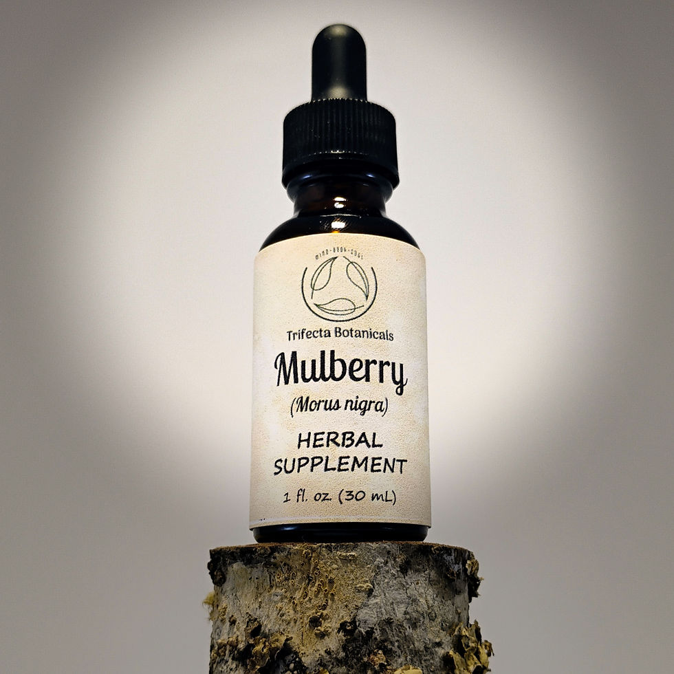 mulberry herbal tincture