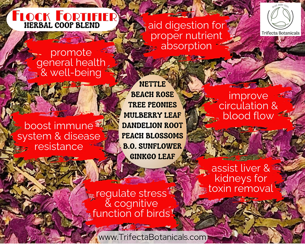 Thumbnail: flock fortifier health benefits