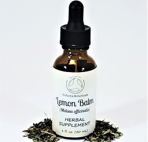 lemon balm tincture in amber dropper bottle
