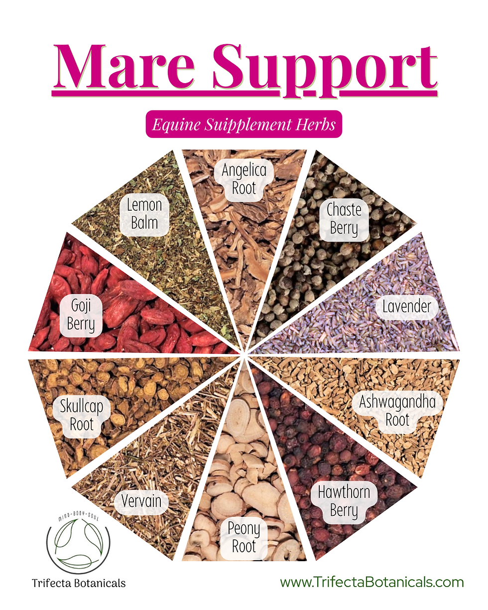 herbs for moody mares